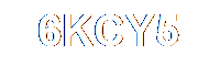 Güvenlik Kodu